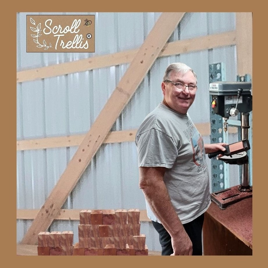 Scroll Trellis, LLC cover