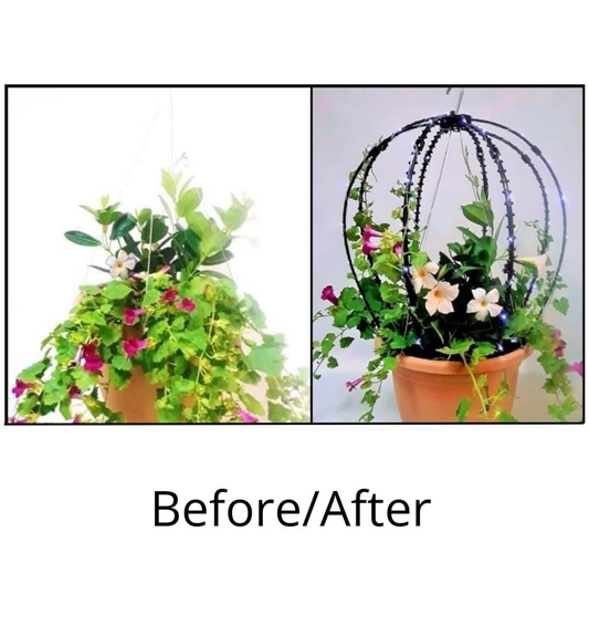 Scroll Trellis® Solar Dome Trellis for Hanging Baskets | Lighted Plant Support for Vines