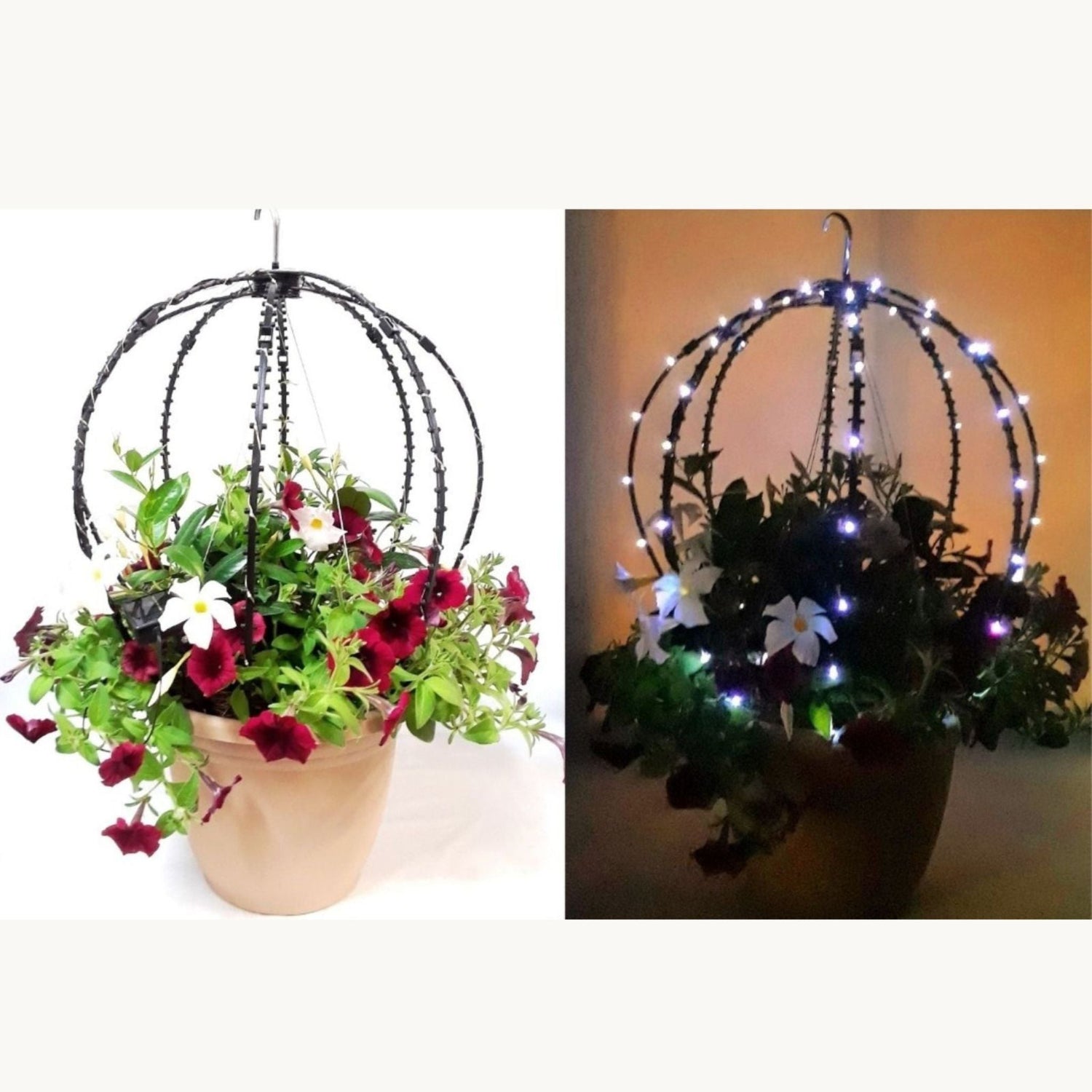 Hanging basket frame that supports climbing vines, shown with optional solar lights at night