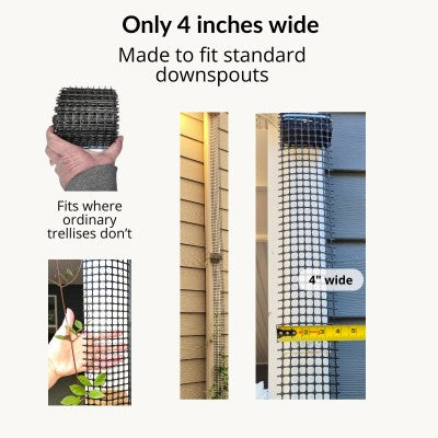 Four-inch-wide Scroll Trellis sized for standard residential downspouts and narrow garden spaces.