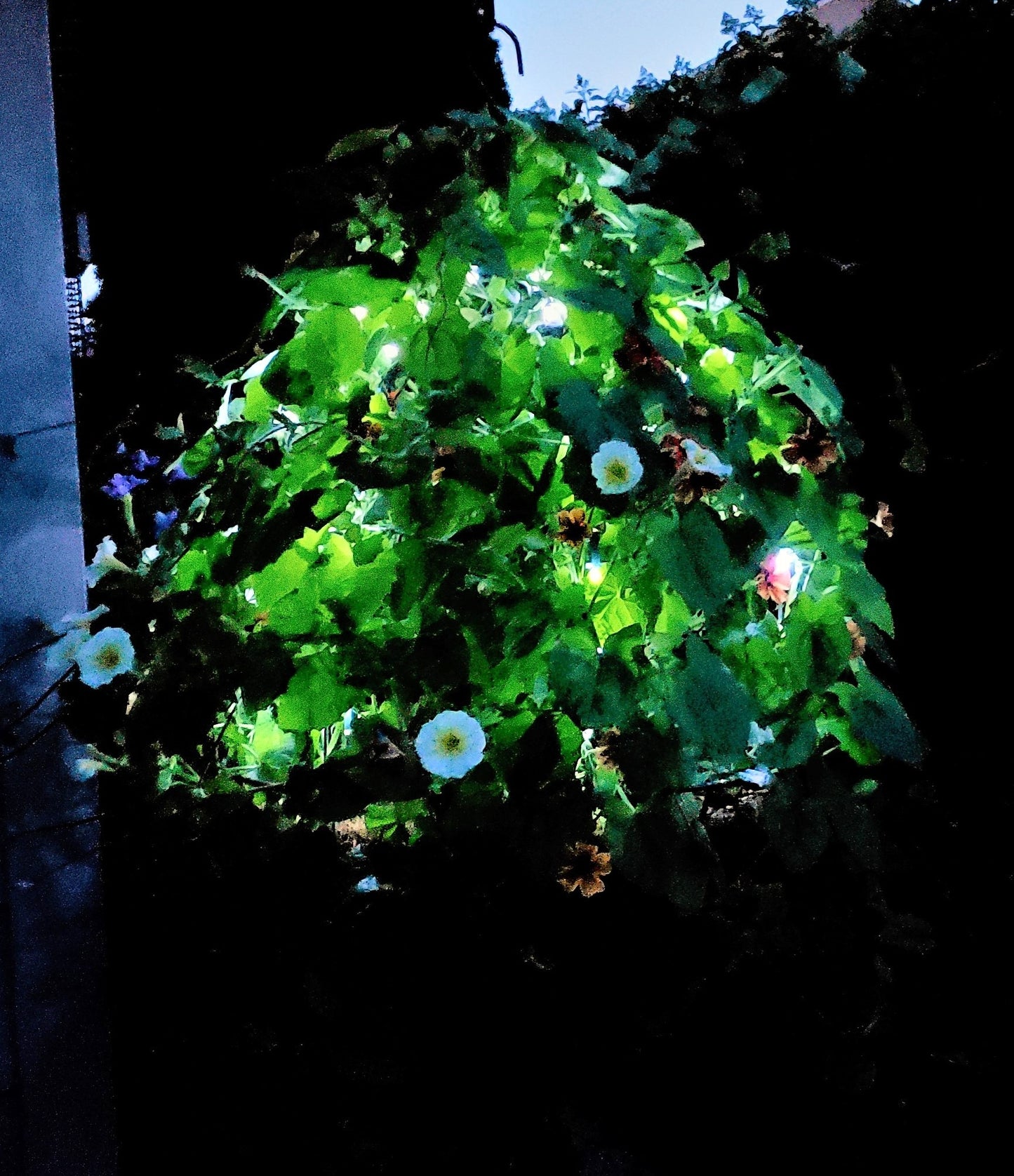 Scroll Trellis® Solar Dome Trellis for Hanging Baskets | Lighted Plant Support for Vines