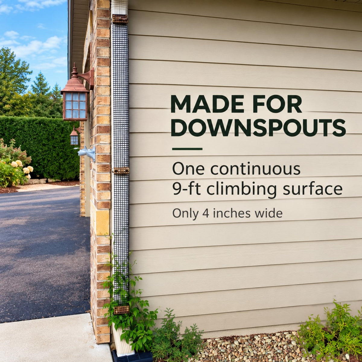 Black downspout trellis with a 9-foot-tall, 4-inch-wide climbing surface on a house.