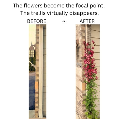 Scroll Trellis Downspout Trellis for Climbing Plants | Slim Rain Gutter Vine Support (9 ft)