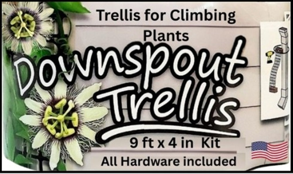 Downspout Trellis for Clematis and Climbing Plants, 9 ft Tall x 4 in Wide