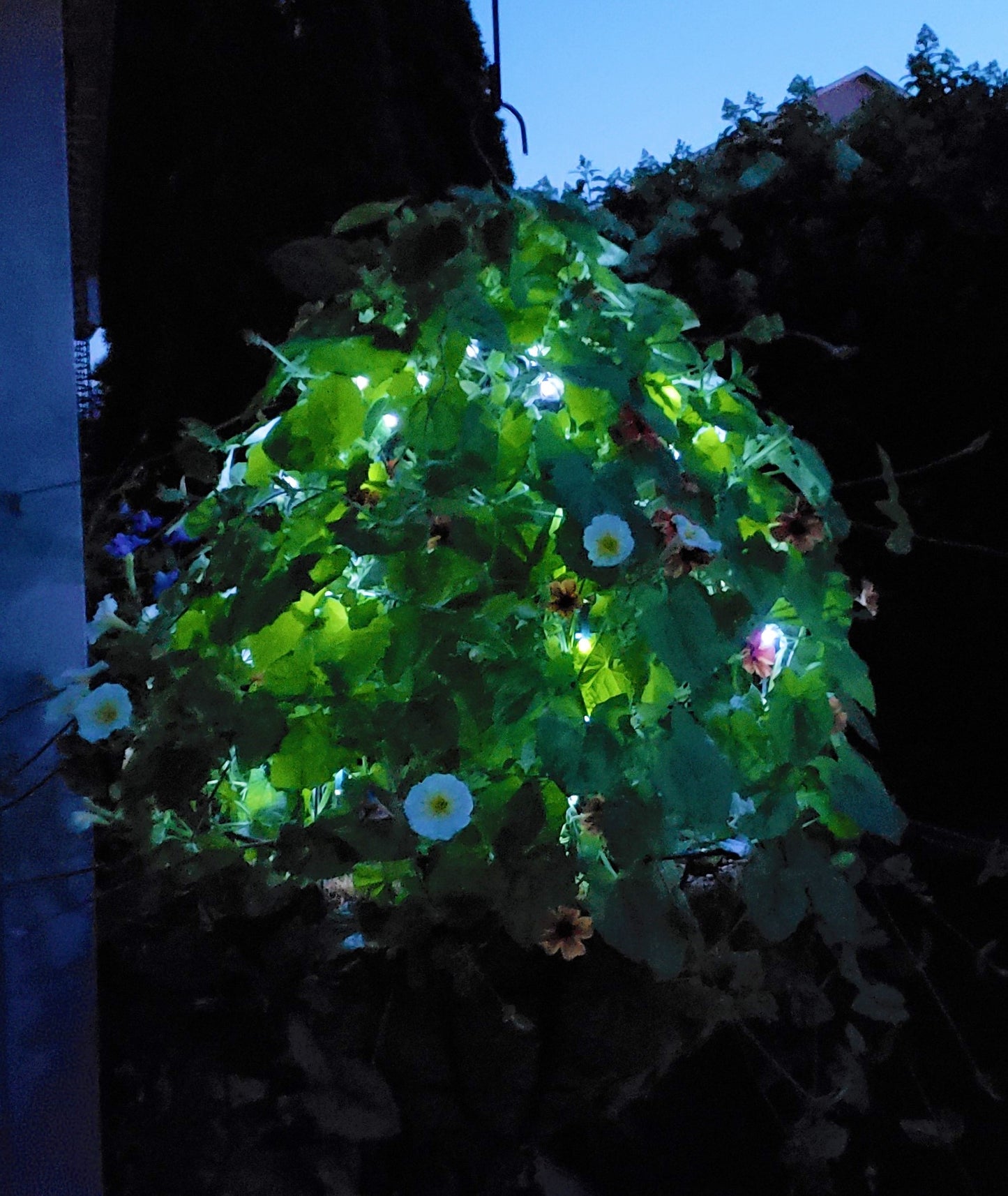 Scroll Trellis® Solar Dome Trellis for Hanging Baskets | Lighted Plant Support for Vines