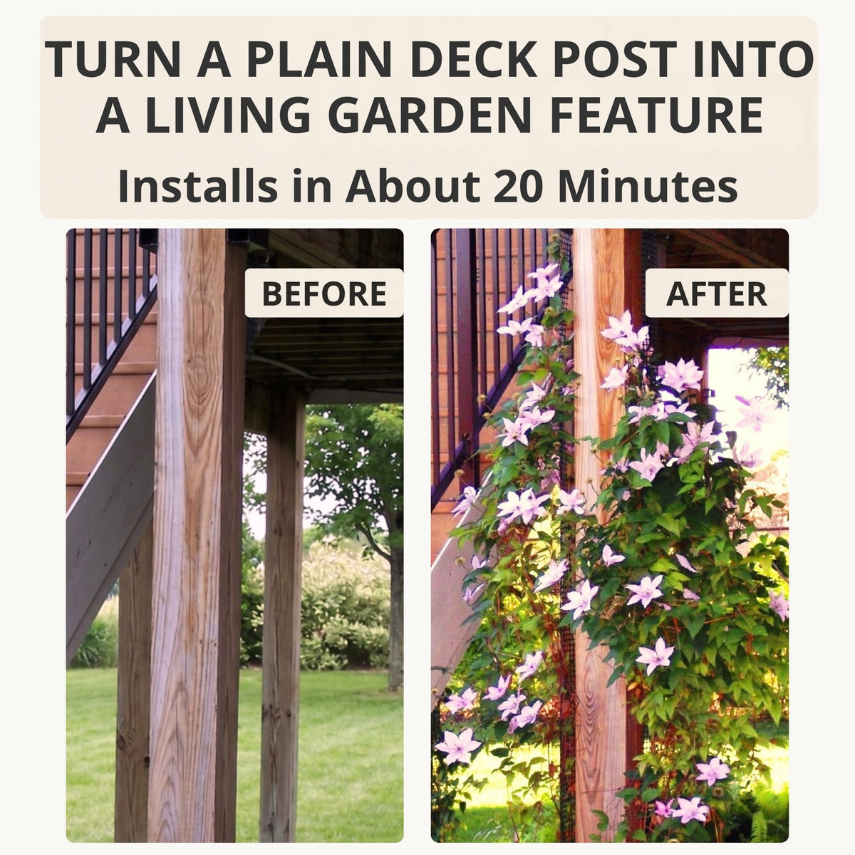 Before and after photos showing a bare wooden deck post transformed with flowering hagley hybrid clematis growing on a narrow trellis.