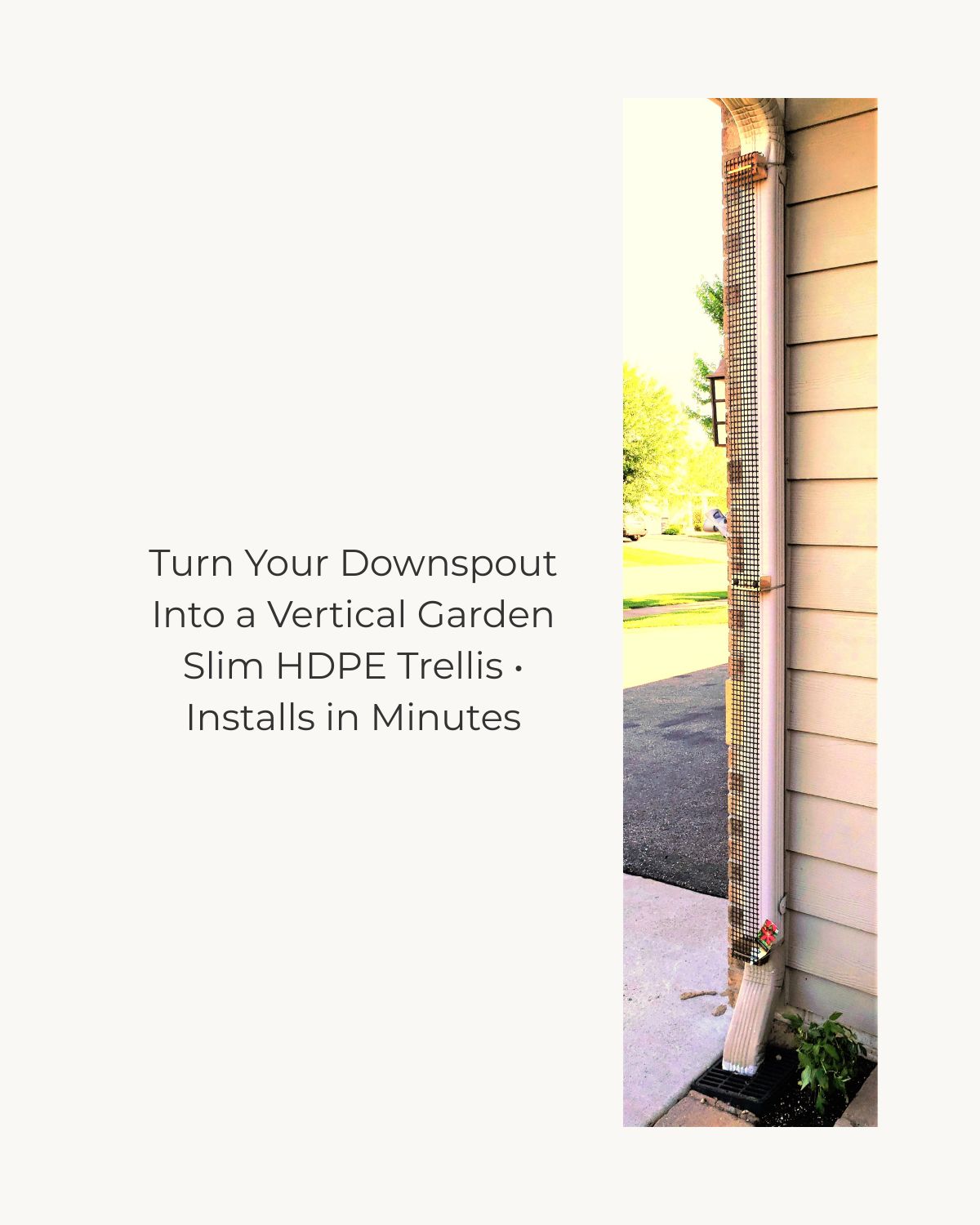 Downspout trellis with HDPE mesh mounted on exterior wall showing slim 9-foot height for growing climbing plants