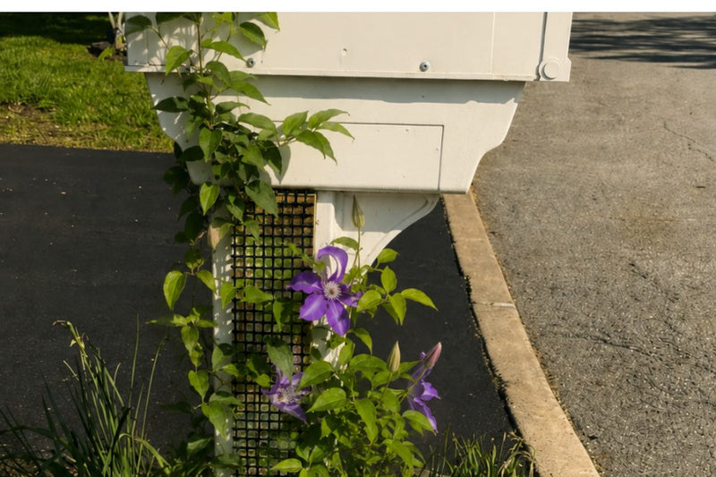 whortened mesh trellis installed on a white mailbox post ready to support climbing vines and flowering clematis.