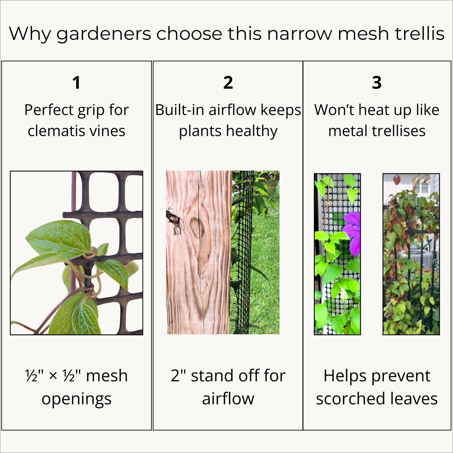 Three panel graphic showing narrow mesh trellis benefits including vine grip, airflow stand off, and cooler surface than metal trellises