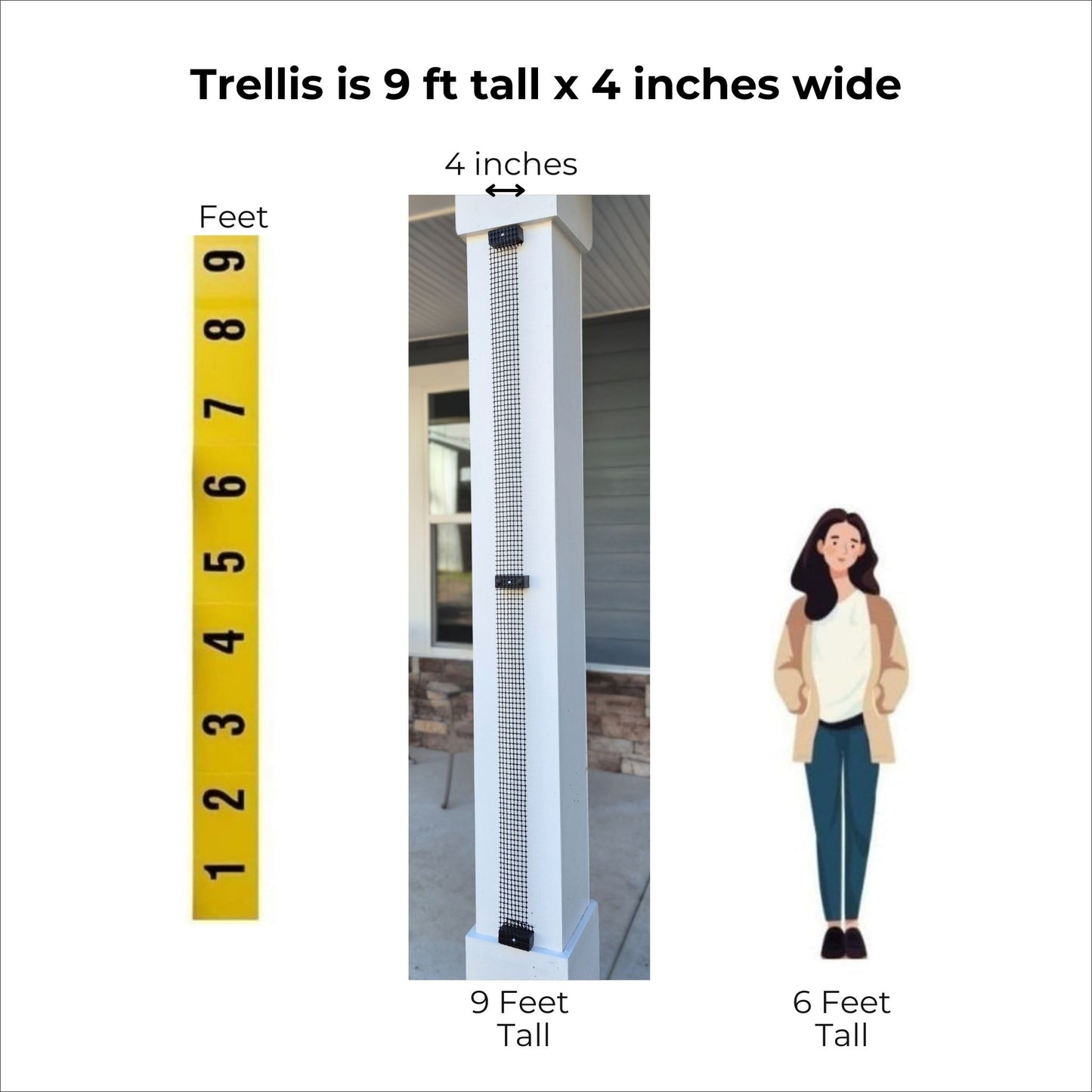 Narrow trellis dimensions showing approximately 9 feet tall and 4 inches wide for posts and tight spaces