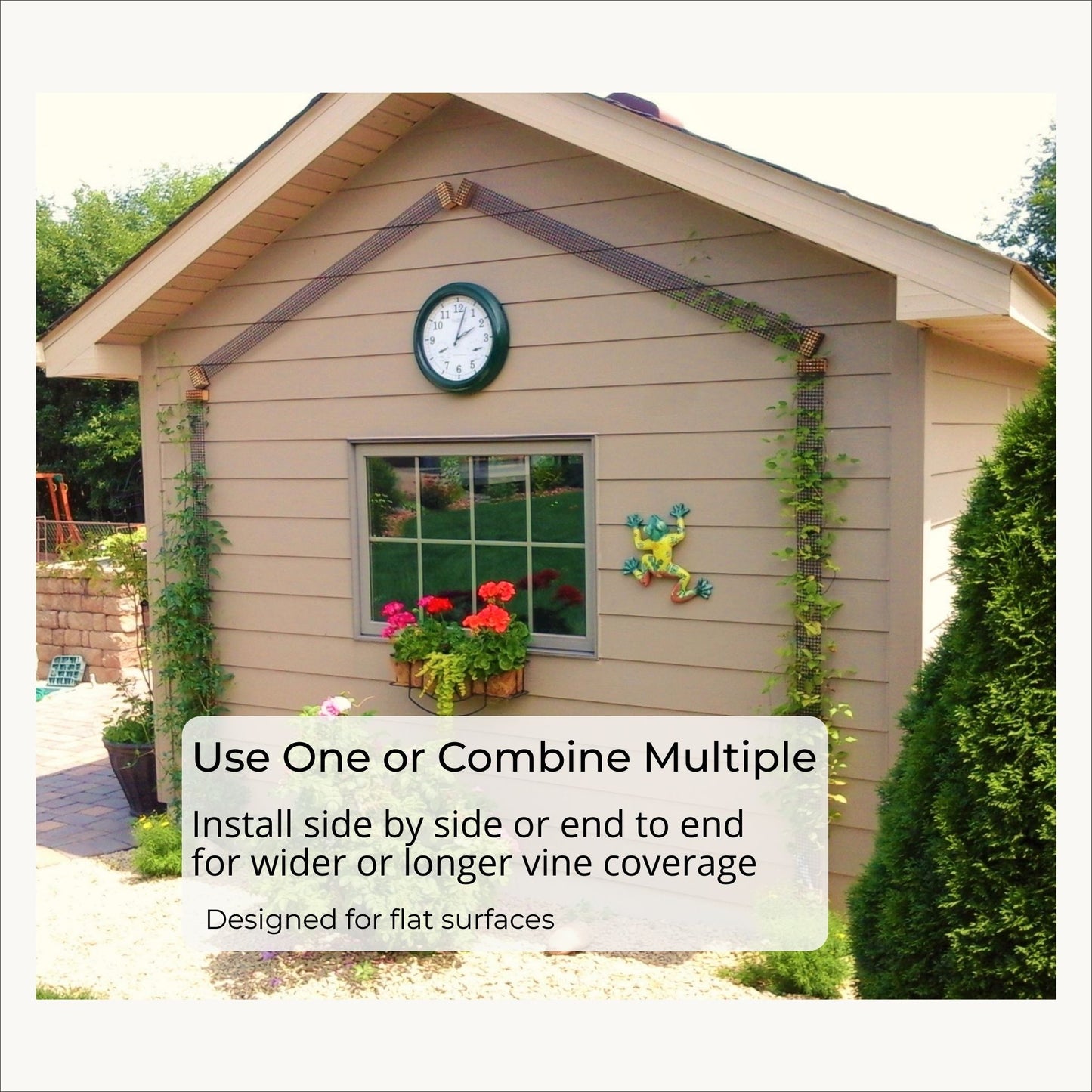 Multiple narrow trellises installed side by side and end to end to create wider or longer vine coverage