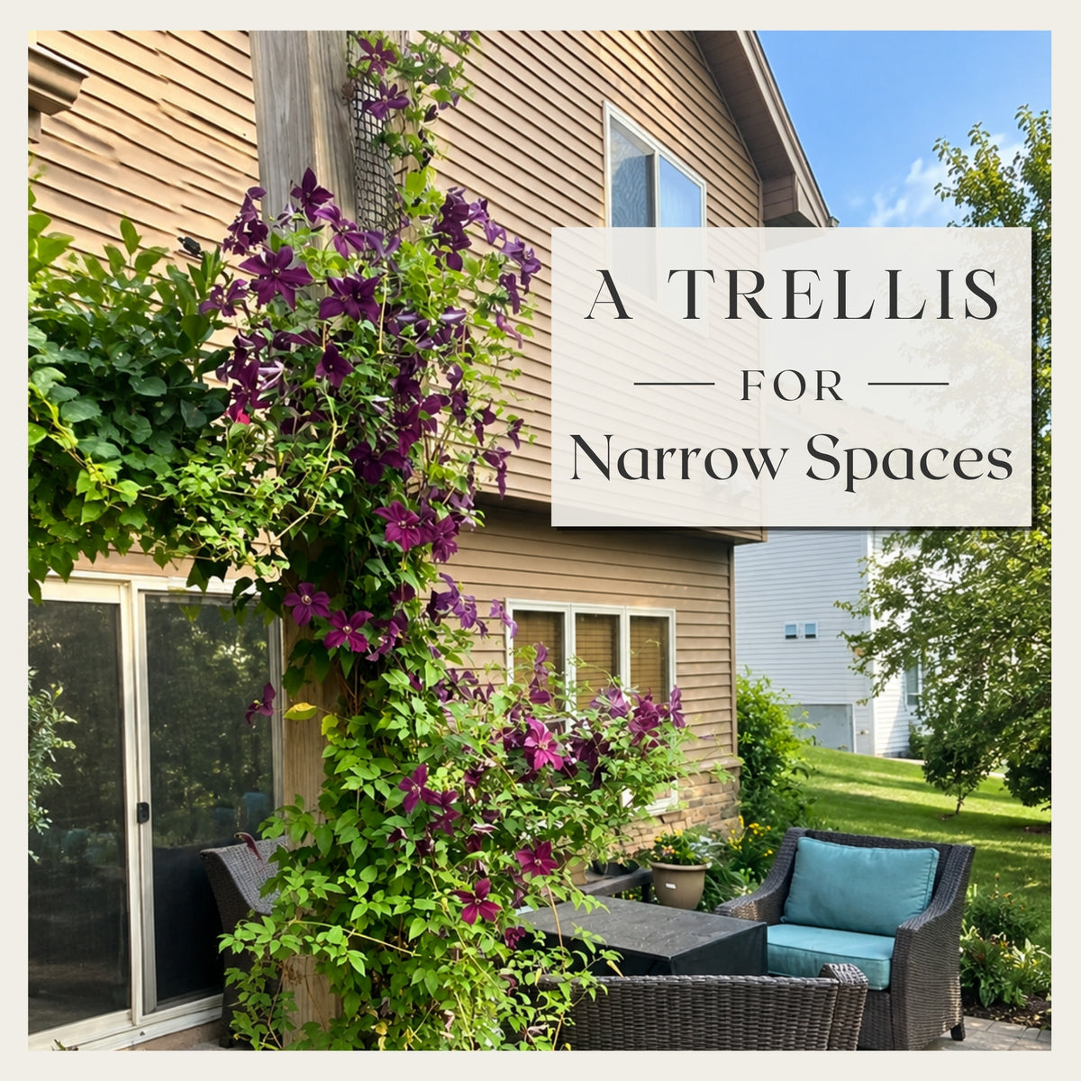 Purple clematis growing on a narrow black mesh trellis attached to a wooden deck post beside an outdoor patio.