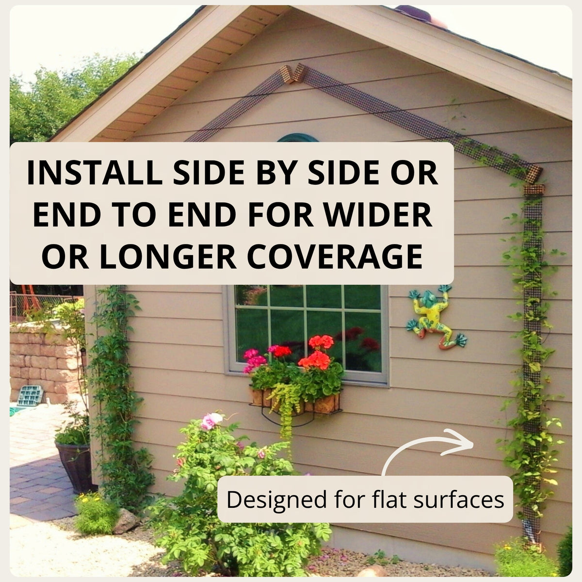 Garden shed with climbing vines growing on narrow mesh trellises installed vertically and along the roofline for extended coverage.