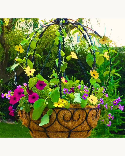 Scroll Trellis® Dome Trellis for Hanging Baskets | Vertical Plant Support