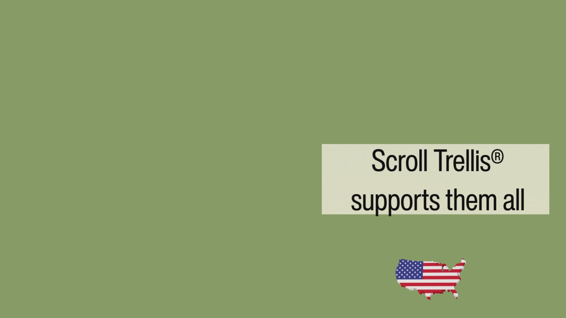 Video showing how clematis climbs by leaf stems, passion vine climbs by tendrils, and morning glory climbs by twining stems on the Scroll Trellis HDPE mesh