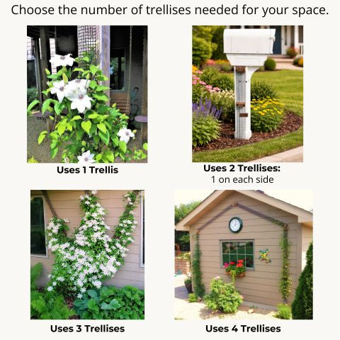 Illustration showing how to choose one or multiple Scroll Trellis panels for different spaces such as posts, fences, and walls