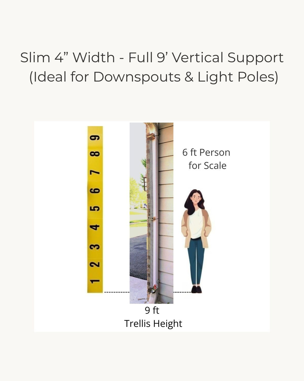Downspout Trellis shown at full 9-foot height and slim 4-inch width with scale comparison