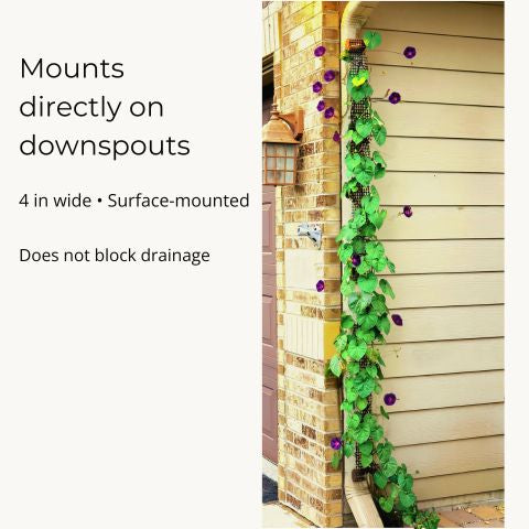 Scroll Trellis Downspout Trellis for Climbing Plants | Slim Rain Gutter Vine Support (9 ft)