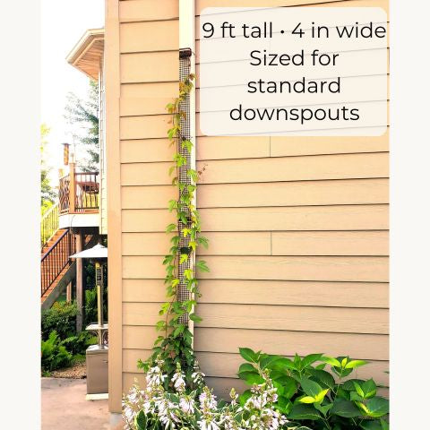 Scroll Trellis Downspout Trellis for Climbing Plants | Slim Rain Gutter Vine Support (9 ft)