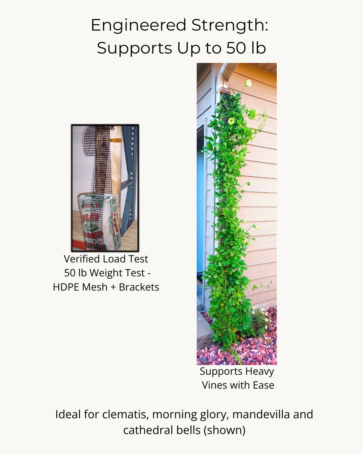 Downspout Trellis strength test demonstrating 50-pound load and support for heavy foliage
