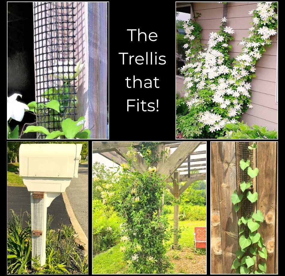 Narrow Trellis for Clematis and Climbing Plants, 9 ft Tall x 4 in Wide, for Deck Posts, Mailbox Posts and Porch Columns