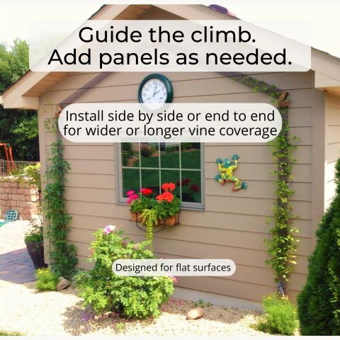 Scroll Trellis narrow trellis panels installed side by side on a wall to create a tall vertical garden with climbing vines