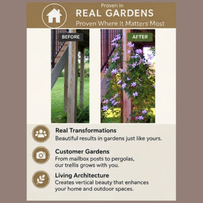 Real garden examples showing how Scroll Trellis supports healthy climbing vines and transforms narrow outdoor spaces.