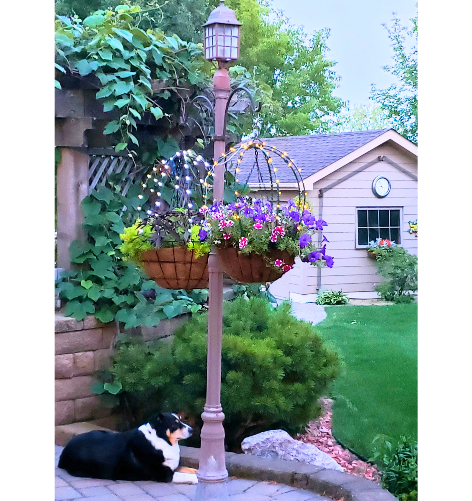 Solar dome trellis for hanging baskets showing warm and bright white LEDs, Made in Virginia