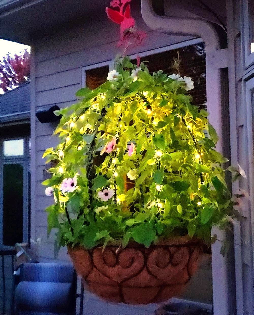 Scroll Trellis® Solar Dome Trellis with warm white LED lights supporting climbing plants in a hanging basket. UV-resistant polypropylene, manufactured in Wisconsin and assembled in Virginia