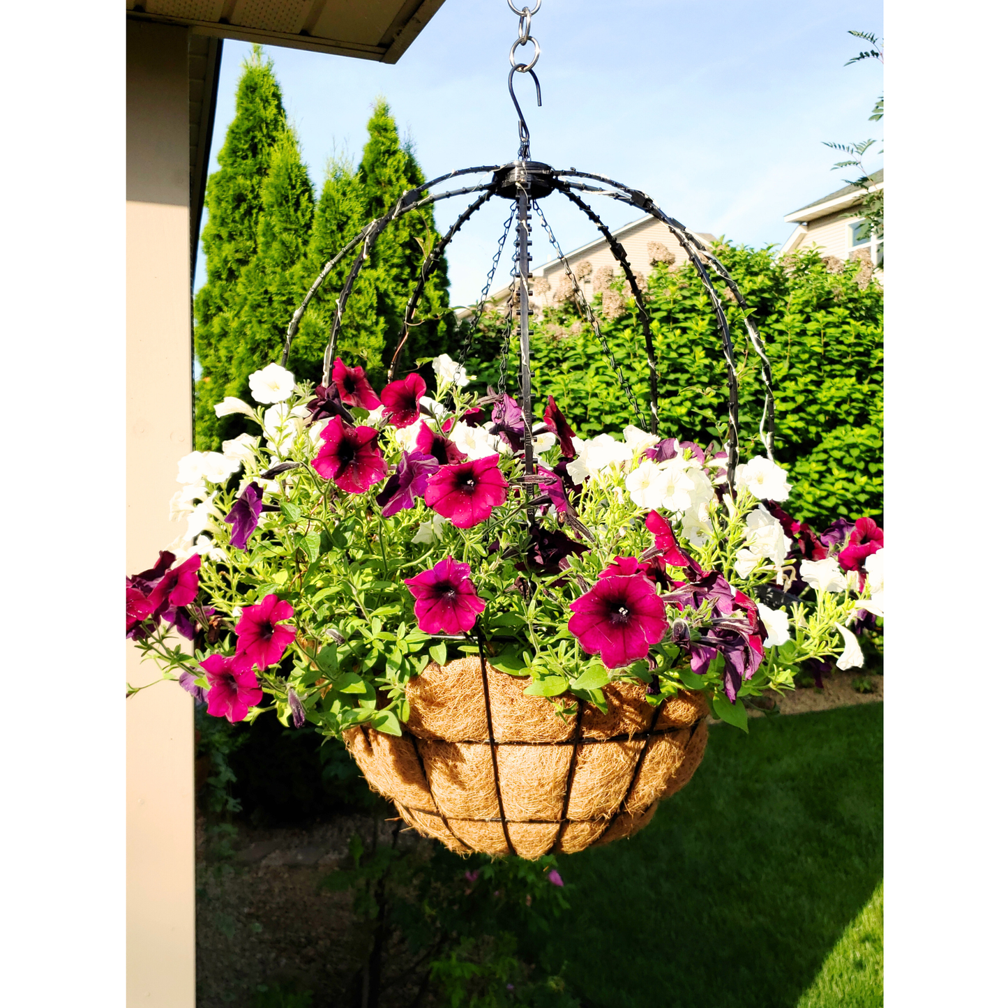 Scroll Trellis® Solar Dome Trellis for Hanging Baskets | Lighted Plant Support for Vines