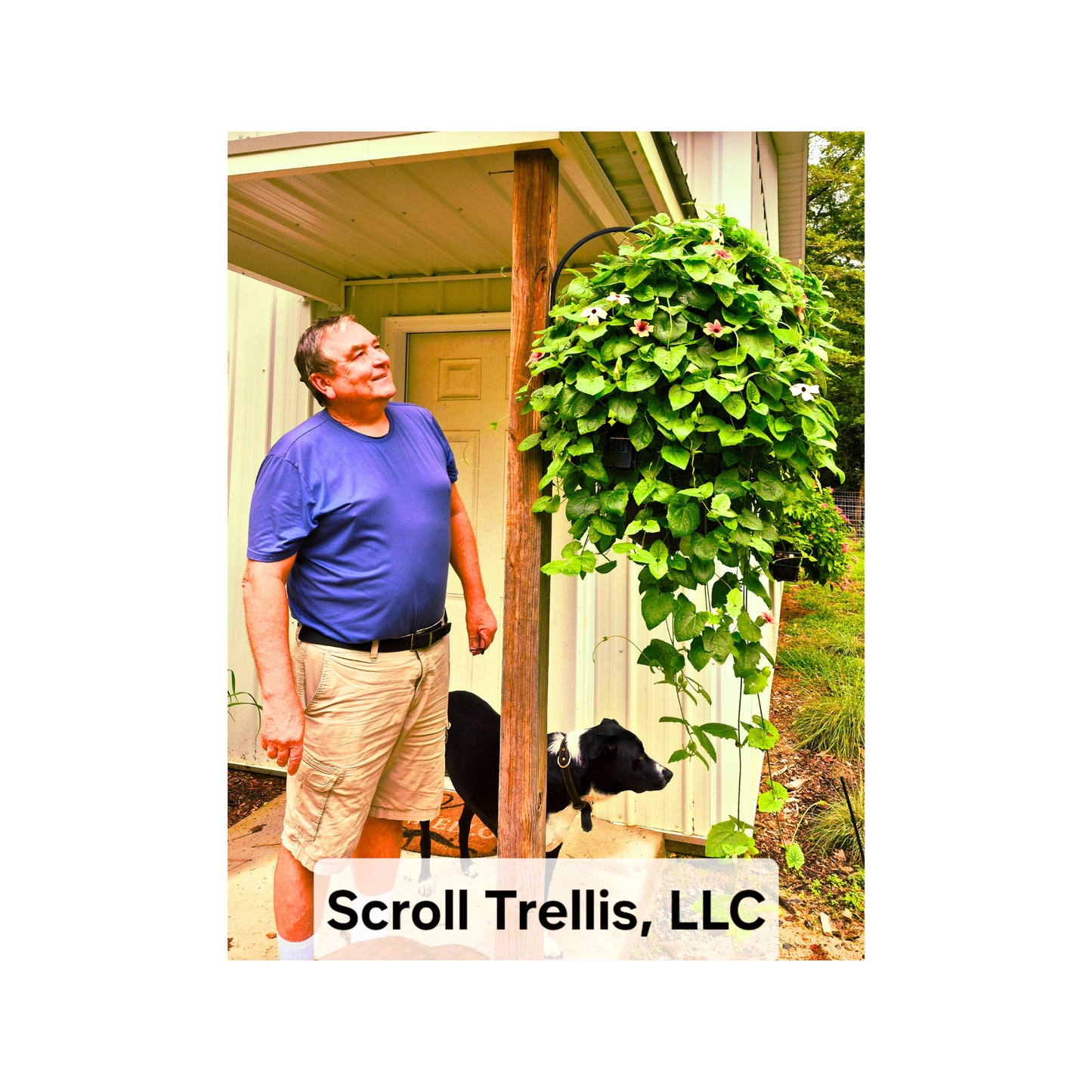 Scroll Trellis® Solar Dome Trellis for Hanging Baskets | Lighted Plant Support for Vines