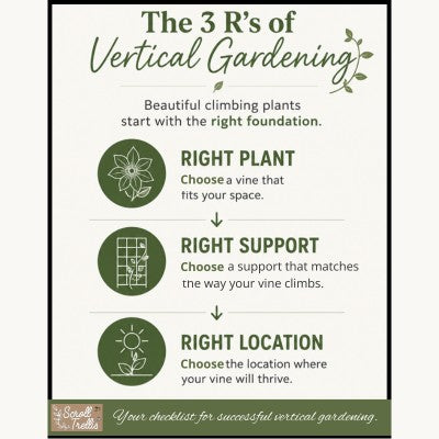 The 3 R's of Vertical Gardening checklist showing Right Plant, Right Support, and Right Location as the foundation for successful climbing plants.