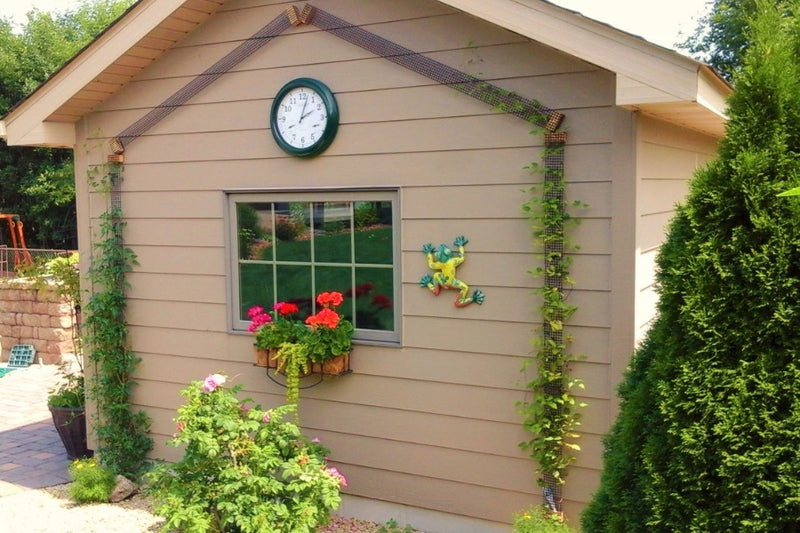 
Clematis climbing a narrow Scroll Trellis mounted onto a home's siding 
